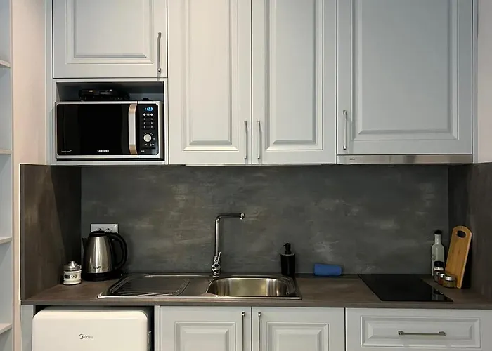 Cloud Cane 公寓 地拉那